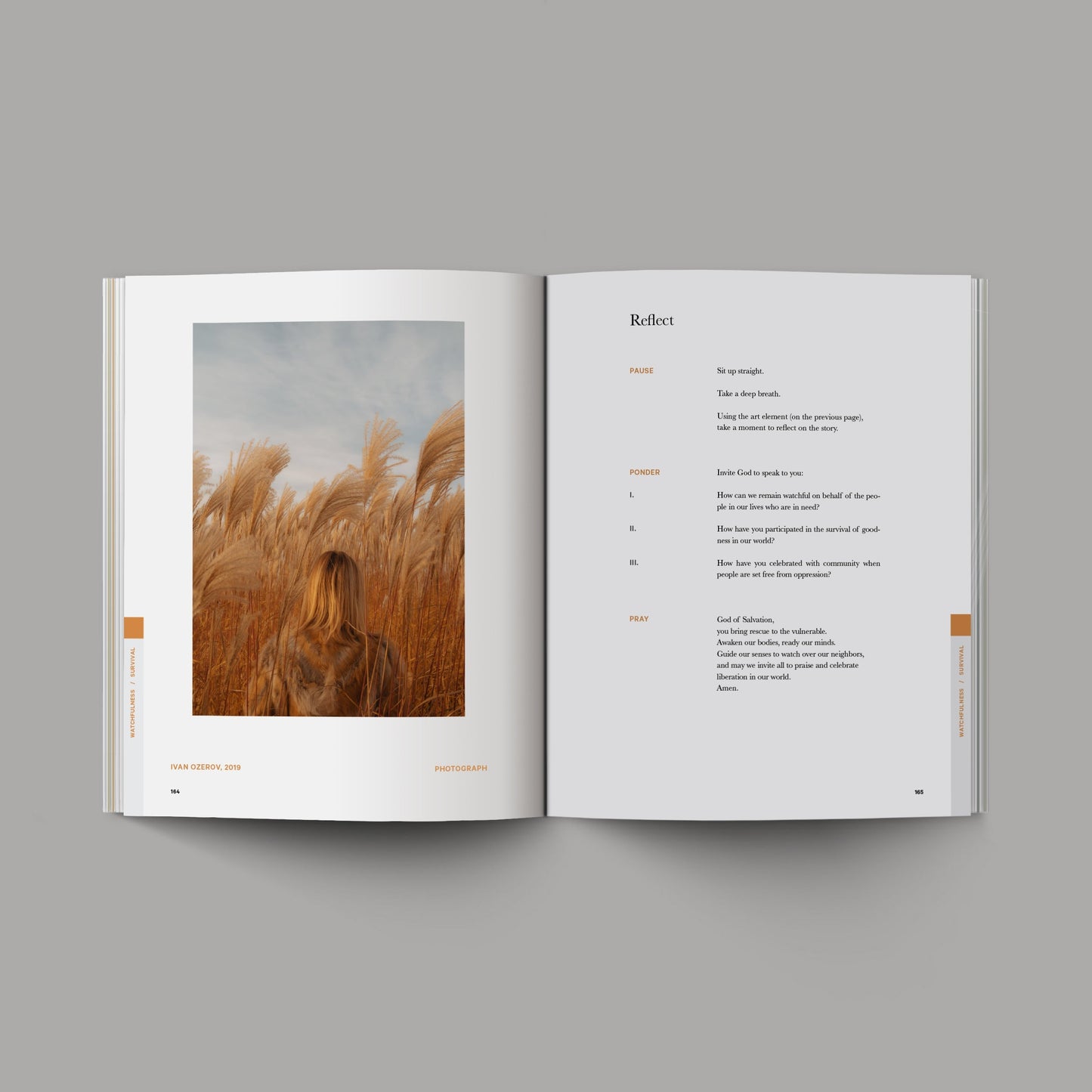 The Good and Beautiful Bible Study (New Year)