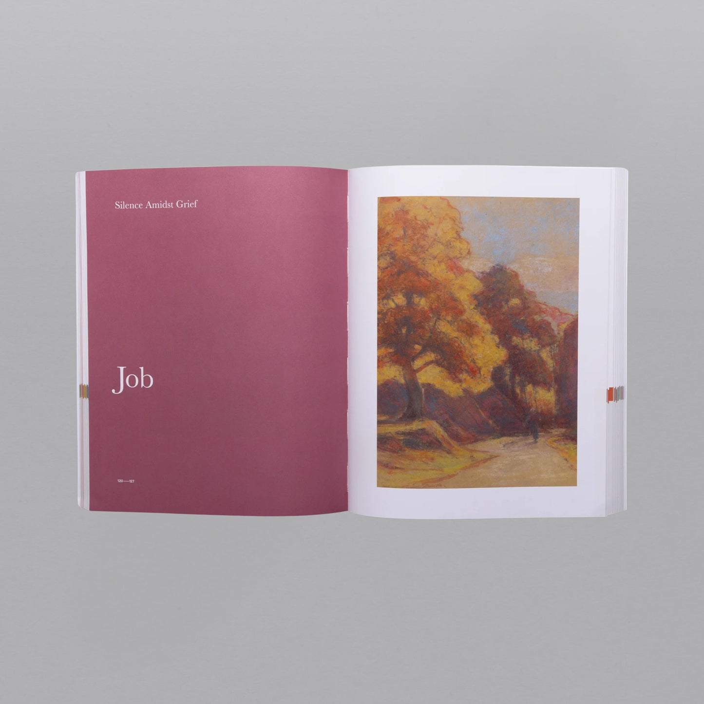 The Good and Beautiful Bible Study - Volume 2