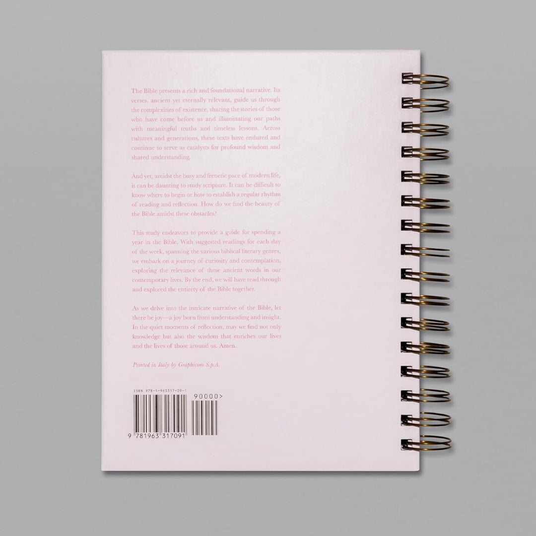 A Beautiful Year in the Bible Study