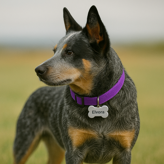 A Beautiful Year in the Bible Study