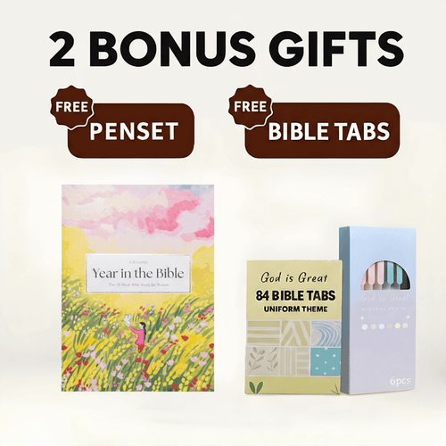 A Beautiful Year in the Bible Study